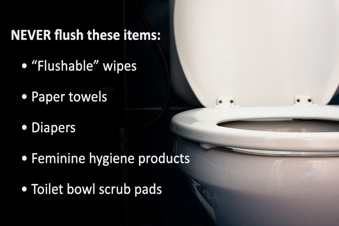 Never Flush These Items