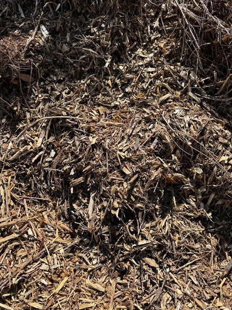 a pile of mulch